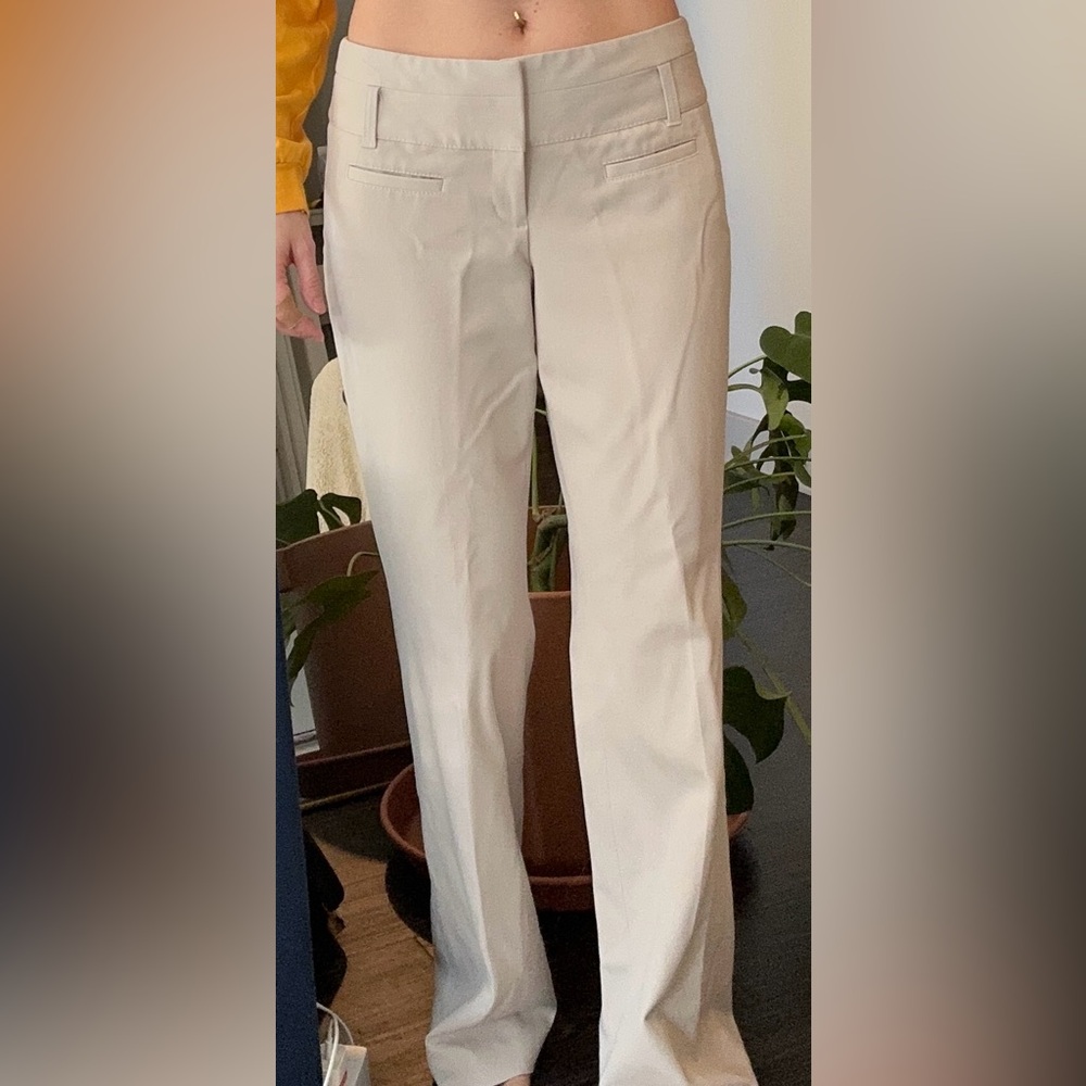Express Work Pants